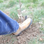 Firm Soil with Foot